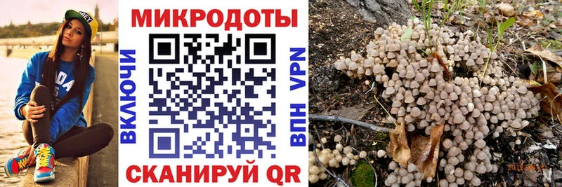 Купить где  Чапаевск  Псилоцибиновые грибы мухоморы 